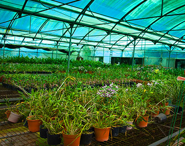 footer-instagram-img-7