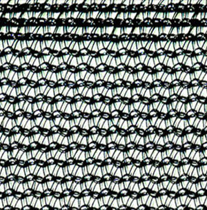 about-greenforet-img