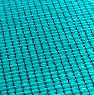 about-greenforet-img