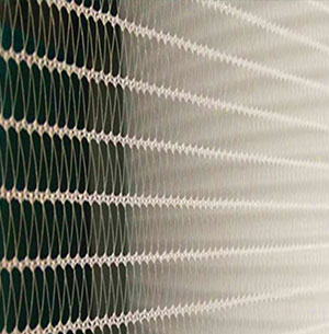 about-greenforet-img